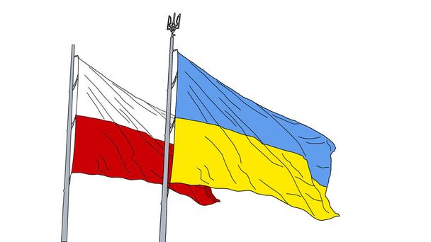 national flags of Ukraine and poland flag - Fotoğraf, Görsel