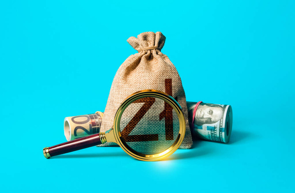 Polish zloty money bag and magnifying glass. Anti money laundering, tax evasion. Deposit or loan terms and conditions. Find investment funds for business project. Investigating capital origins. - Foto, Bild