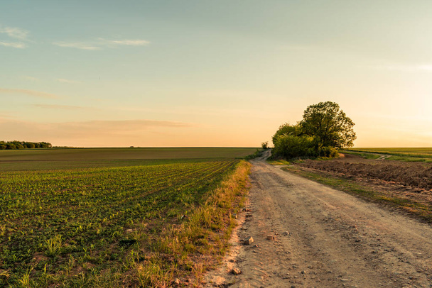 Estrada Dirp e campos no campo na primavera, paisagem do pôr do sol - Foto, Imagem