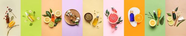 Conjunto de aceites esenciales naturales e ingredientes sobre fondo colorido - Foto, Imagen