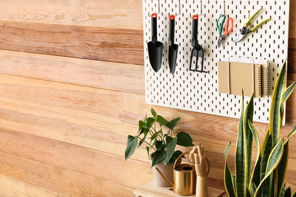 Houseplants and pegboard with gardening tools near wooden wall in room, closeup - Фото, изображение