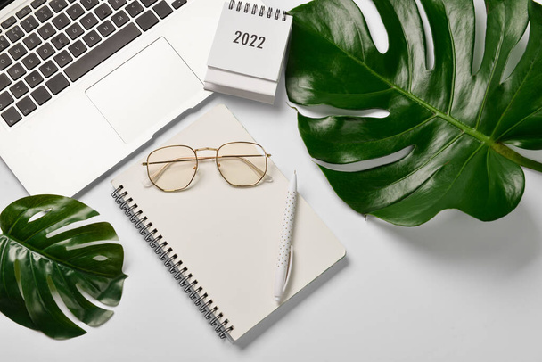 Modern laptop, notebook, eyeglasses and tropical leaves on light background - 写真・画像