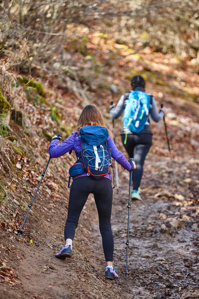 Two female hikers on a forest pathway. Outdoor healthy lifestyle - Foto, imagen