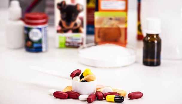 Tabletas y pastillas veterinarias, medicamentos veterinarios genéricos, para ganado, mascotas, animales salvajes - Foto, imagen