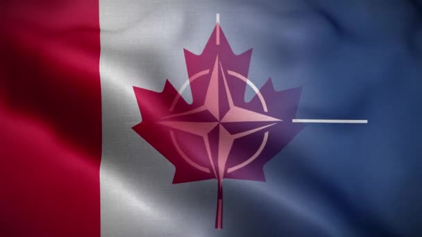 NATO Canada Flag Loop Background 4K - Footage, Video
