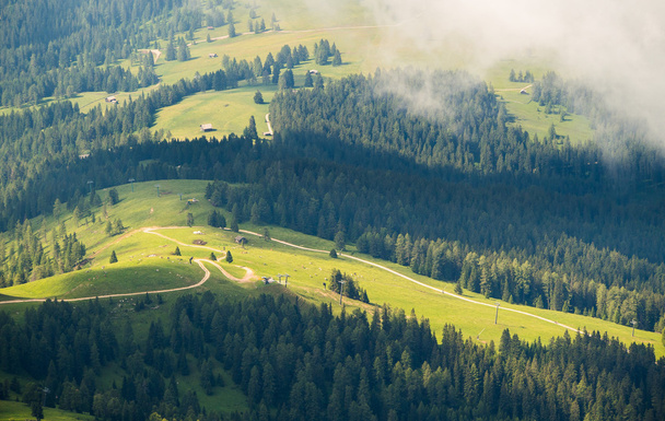 Veduta aerea di una strada sterrata tra prati e boschi, Dolomiti, Italia
 - Foto, immagini