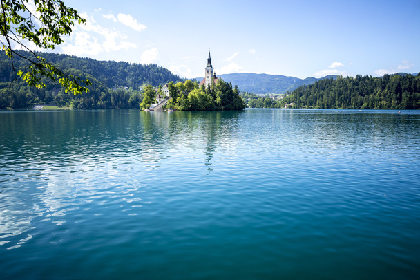 Kerk op een eiland in Bled, Slovenië - Foto, afbeelding