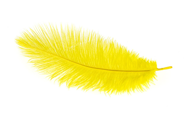 pluma de avestruz amarillo sobre un fondo blanco aislado - Foto, imagen
