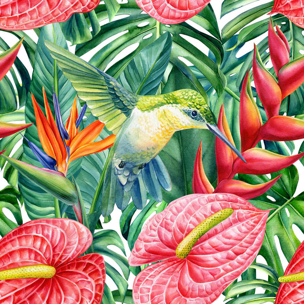 Tropical seamless pattern. Hummingbird, flowers and monstera leaves background. Watercolor illustration - Фото, изображение