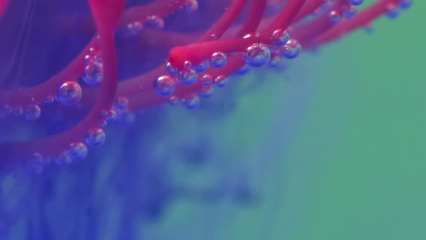  Fényes háttér. Stock kép.A víz tele van lila festék és a festék óvatosan esik a rózsaszín szirmok a korall. - Felvétel, videó