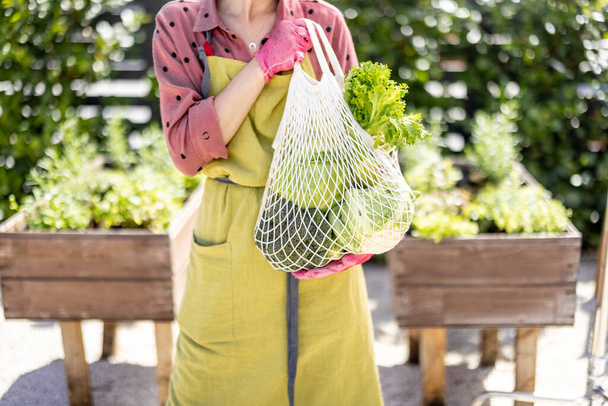 Holding mesh bag full of fresh vegetables and greens at home garden - Photo, Image
