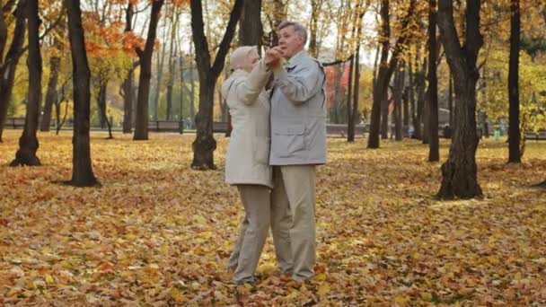 nonni caucasici anziani spensierati famiglia ballo romantico ballare insieme nel parco autunnale felice anziani coppia che si muove all'aperto amorevoli partner di mezza età marito anziano abbracci vita moglie amata - Filmati, video