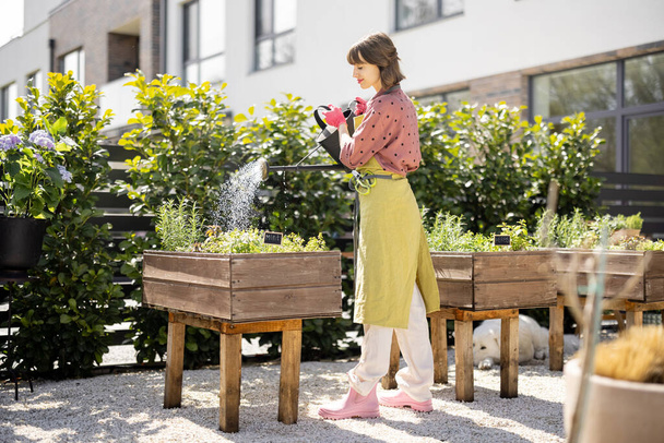 Woman watering fresh herbs at home vegetable garden - Фото, изображение