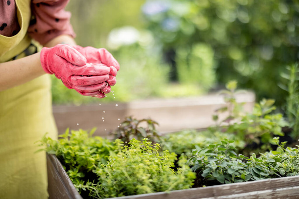 Gardener holds in hands mineral fertilizing, close-up - Photo, Image