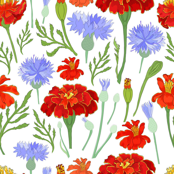 Seamless pattern with the Marigold and Cornfield - Вектор,изображение