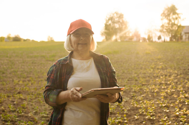 Une agricultrice se tient dans un champ de blé au coucher du soleil et travaille avec une tablette numérique. - Photo, image