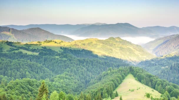 Wonderful summer forest at sun mountain range. Nobody nature landscape at fall season. Sunrise rays through fog and clouds. Country rest on the Synevyr Pass, Carpathians, Ukraine. - Footage, Video