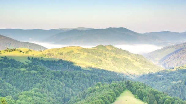 Wonderful summer forest at sun mountain range. Nobody nature landscape at fall season. Sunrise rays through fog and clouds. Country rest on the Synevyr Pass, Carpathians, Ukraine. - Video, Çekim