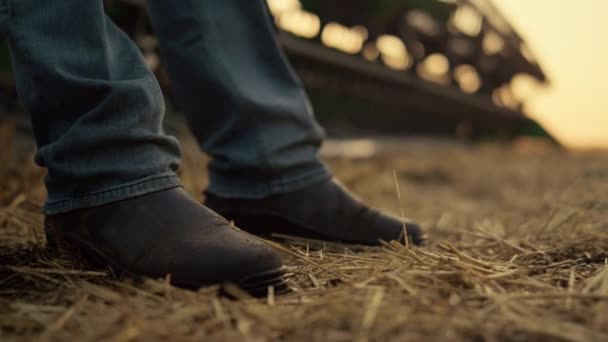 Agronomist boots stand field at harvester straw closeup. Sunset countryside - 映像、動画