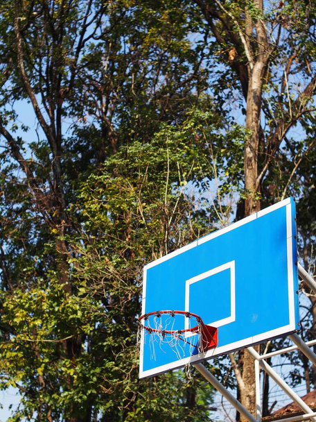 μπλε πλάκα μπάσκετ στεφάνι στέκεται υπαίθρια σε ένα κοινοτικό πάρκο με πράσινο περιβάλλον για τα παιδιά του χωριού να παίξουν και να έχουν την άσκηση ως ελεύθερο άθλημα και υγιή έννοια υποδομής - Φωτογραφία, εικόνα
