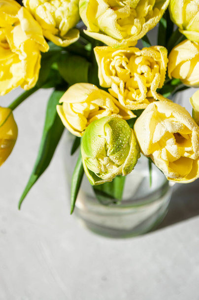Close up of tulips flowers. - Foto, Imagem