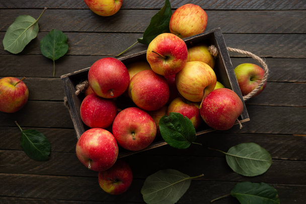 Fresh harvest of apples in a wooden box food dark background top - Photo, Image