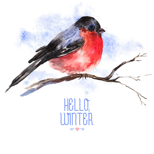 Winter aquarel achtergrond met bullfinches - Vector, afbeelding