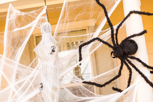 Decoração de Halloween, aranha
 - Foto, Imagem
