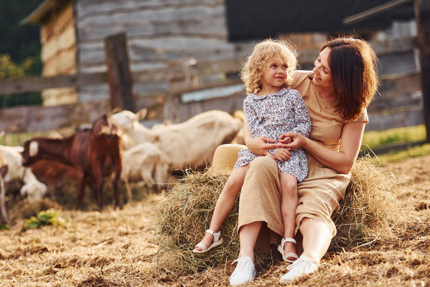 Young mother with her daughter is on the farm at summertime with goats. - Foto, Imagem