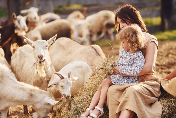 Young mother with her daughter is on the farm at summertime with goats. - Φωτογραφία, εικόνα