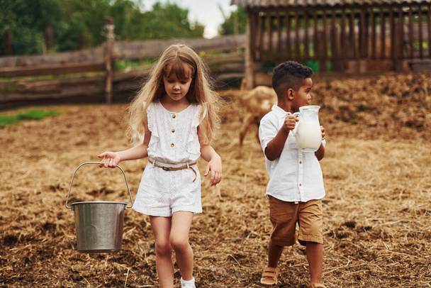 Holding milk. Cute little african american boy with european girl is on the farm. - Zdjęcie, obraz