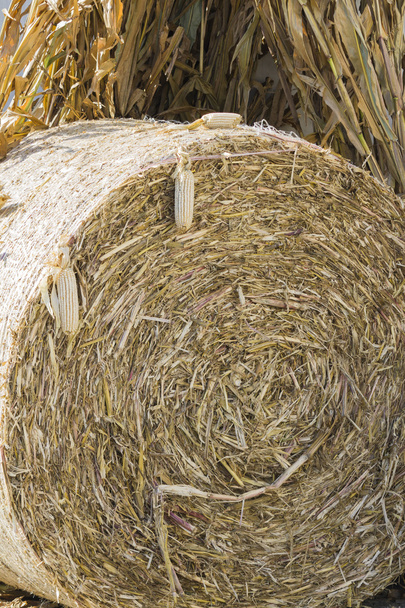 Hay in the countryside - Фото, зображення