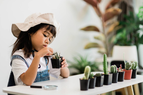 kid gently touch new stem of the cactus he grows with care, one hand holds magnifying glass.Nature education, Montessori and observation skills concept. - Foto, Imagen