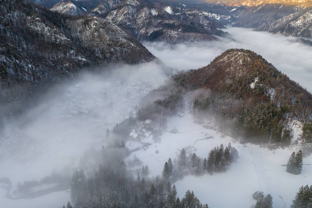 Aerial view of the winter forest just before the sunset. - Photo, Image