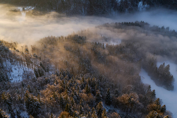 Gün batımından hemen önce kış ormanının havadan görünüşü. - Fotoğraf, Görsel