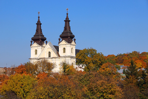 Mikaelin kirkko, Lviv, Ukraina
 - Valokuva, kuva