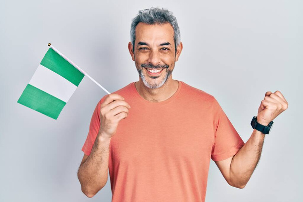 Привабливий чоловік середнього віку з сірим волоссям з нігерійським прапором, що кричить гордо, відзначаючи перемогу і успіх дуже захоплений піднятою рукою.  - Фото, зображення