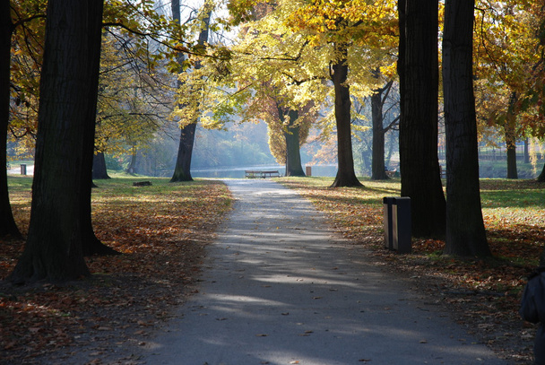 Autumn in the park - Fotografie, Obrázek