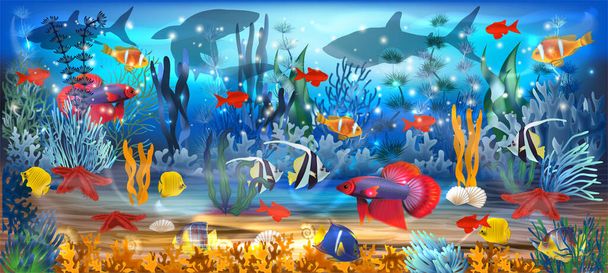 Underwater background with tropical fish and shark. vector illustration - Вектор,изображение