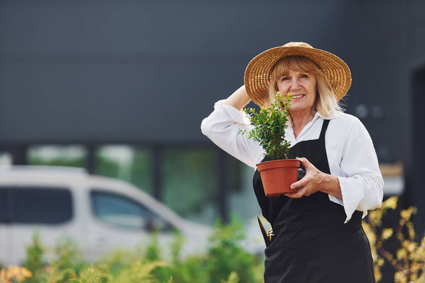 Holding pot in hands. Senior woman is in the mini garden at daytime. Building exterior behind. - Zdjęcie, obraz