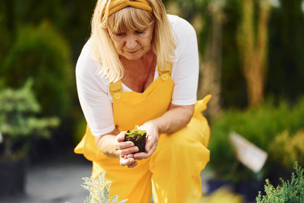 Work day. In yellow colored uniform. Senior woman is in the garden at daytime. Conception of plants and seasons. - Fotografie, Obrázek