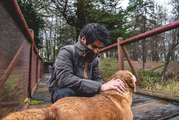 Ευτυχισμένος, νέος, καυκάσιος και όμορφος άντρας με σακάκι και σακίδιο που χαϊδεύει ένα όμορφο άσπρο και καφέ σκυλί σε μια ξύλινη γέφυρα στο δάσος σε μια βροχερή μέρα, Valdivia, Χιλή - Φωτογραφία, εικόνα