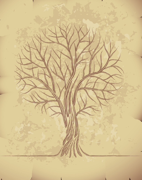 Tree on old paper - Vector, afbeelding
