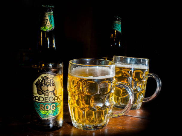 Radegast Rog IPA beer and full jar - Foto, afbeelding
