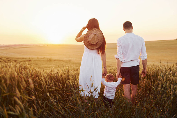 Mother and father with their son spending free time on the field at sunny day time of summer. View from behind. - Foto, Imagem