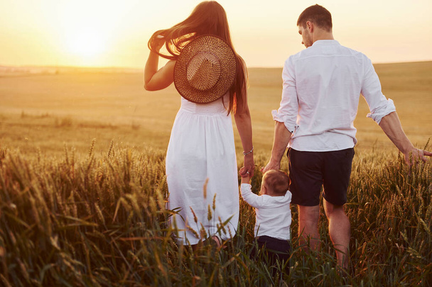 Mother and father with their son spending free time on the field at sunny day time of summer. View from behind. - Foto, imagen