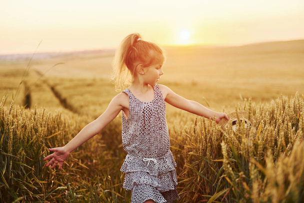 Little girl standing on the agricultural field at evening time. Conception of summer free time. - Foto, Bild