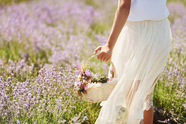 Close up view of woman in beautiful white dress that using basket to collect lavender in the field. - Foto, immagini