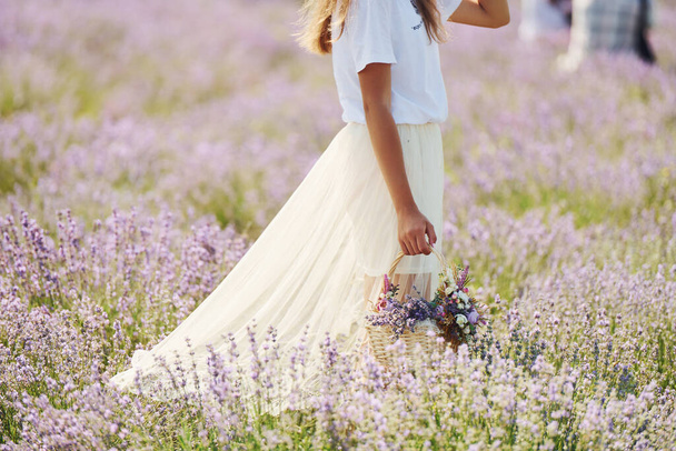 Закрыть вид на женщину в красивом белом платье, которая с помощью корзины собирает лаванду в поле. - Фото, изображение