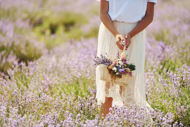 Close-up uitzicht op de vrouw in mooie witte jurk die met behulp van mand om lavendel te verzamelen in het veld. - Foto, afbeelding